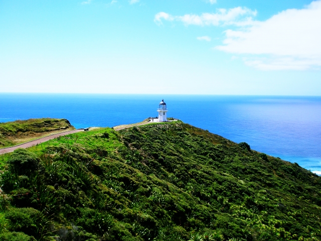 テキストテキストテキスト